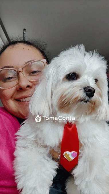 Pet/Cat Sitting e outros animais, passeadora de cães,