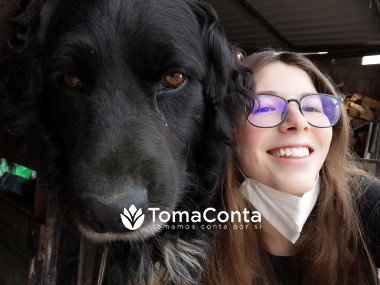 Pet sitting ao domicílio em Viseu