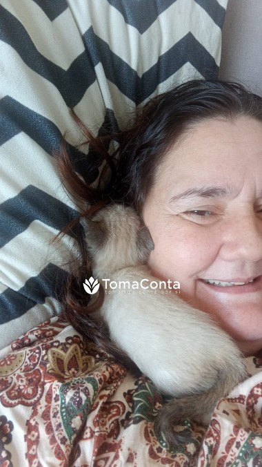 Pet Sitting ao domicílio