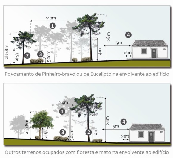 Limpeza de terrenos junto a habitações